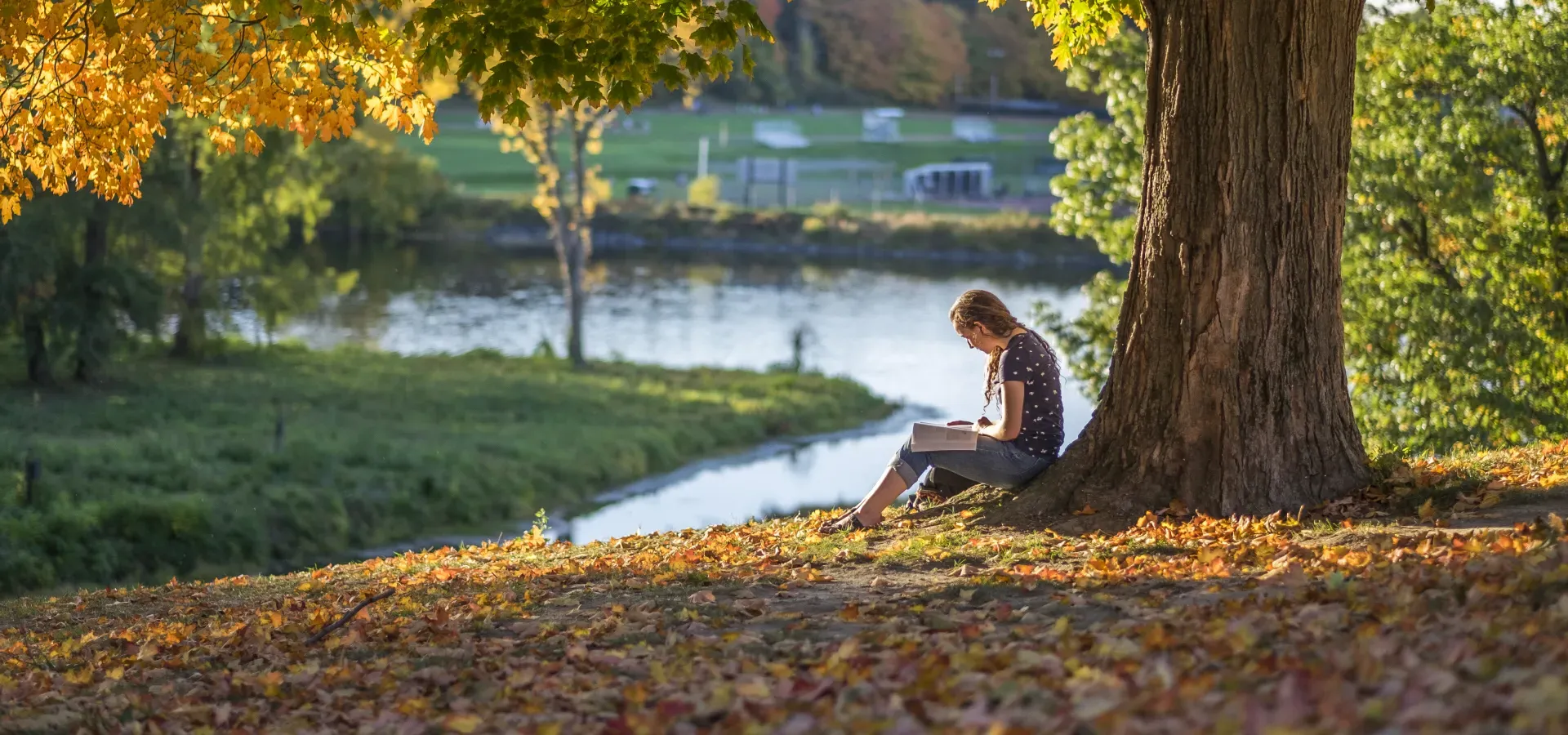 一个学生坐在天堂池塘附近的树下.